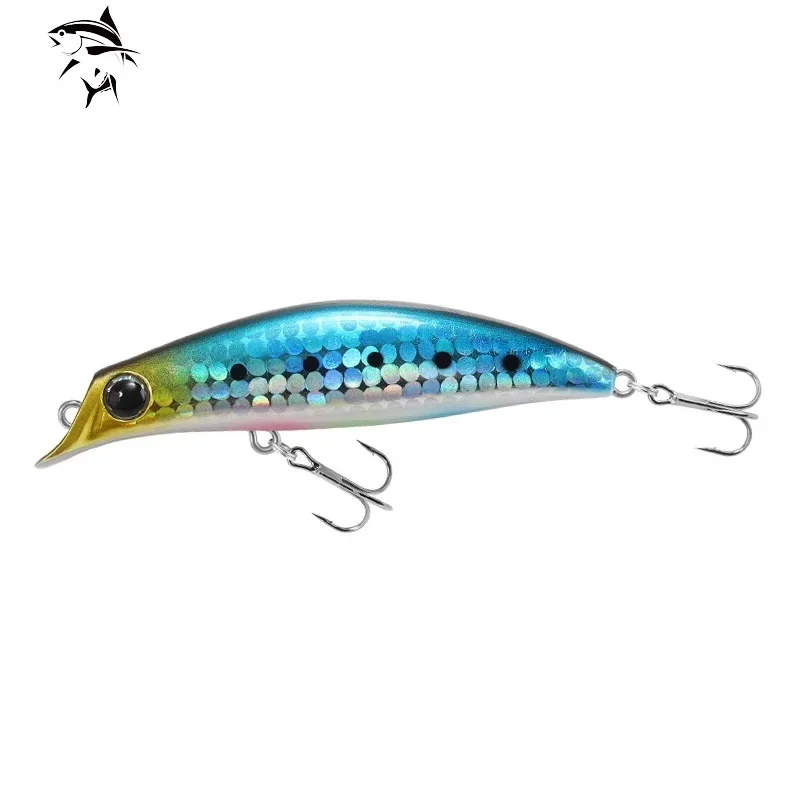 Fishing Equipment Brands - Marca giappone Design Hard Bait Salt